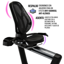 Bodytone Bicicleta reclinada profesional / Recumbent Bike BT-EVOR+