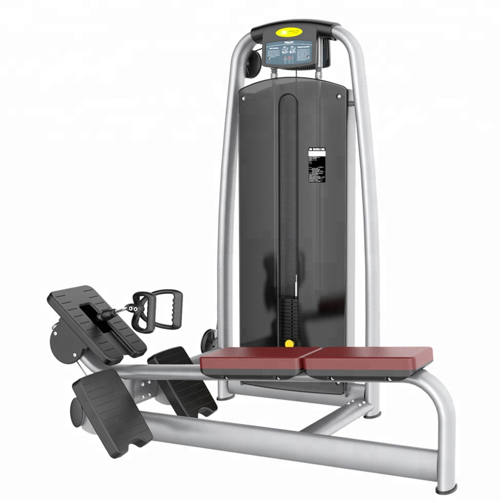 Infinité Remo Bajo Polea Larga/Low Row Long Pulley IF-AN06