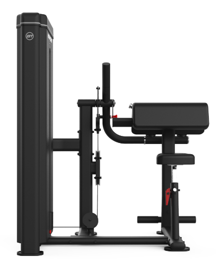 Biceps/Triceps BT-FD03