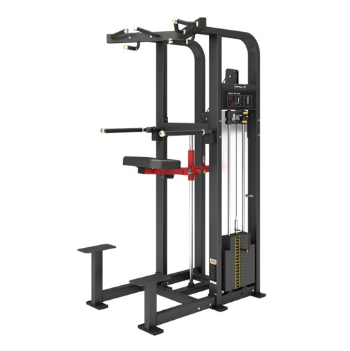 INFINITé Dip/Chin Assist IF-FM11