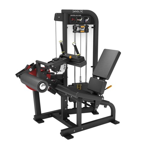 INFINITé Leg Curl Seated IF-FM14