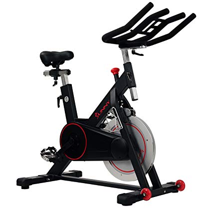 Sunny Health & Fitness Bicicleta de Ciclismo de Interior Magnetico SF-B1805
