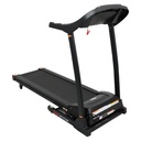Sunny Health & Fitness Caminadora con auto inclinación (Color Negro) SF-T7705-B