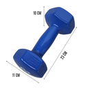 VINYL DUMBBELLS/ MANCUERNAS DE VINIL PAR 5 KG INFINITé