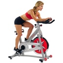 Sunny H&F Bicicleta de Spin Profesional Indoor Cycling Bike SF-B901