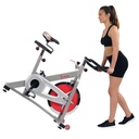 Sunny H&F Bicicleta de Spin Profesional Indoor Cycling Bike SF-B901