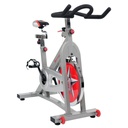 Sunny H&F Bicicleta de Spin Profesional Indoor Cycling Bike SF-B901