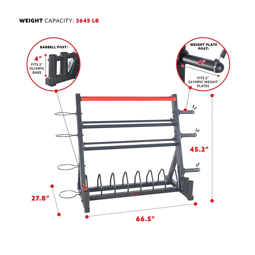 SUNNY SOPORTE DE RACK DE ALMACENAMIENTO DE PESAS TODO EN UNO SF-XF920025