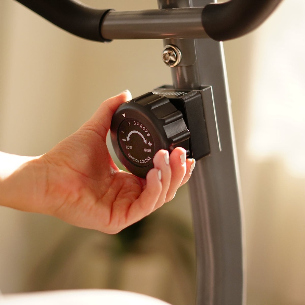Sunny Health & Fitness Magnetic Recumbent Bike