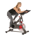 Sunny Bicicleta de entrenamiento//  TRAINING CYCLE BIKE SF-B1913
