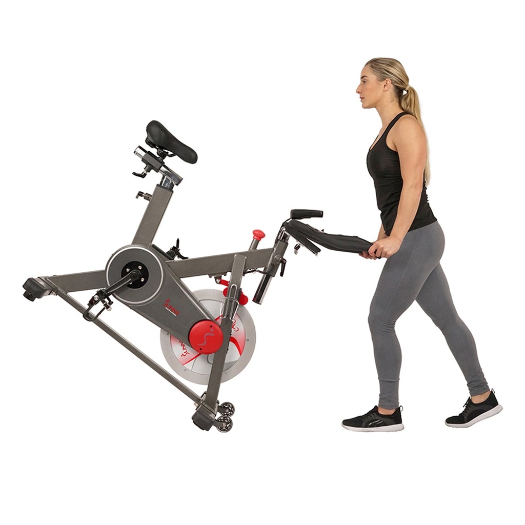 Sunny Bicicleta de entrenamiento//  TRAINING CYCLE BIKE SF-B1913