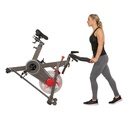 Sunny Bicicleta de entrenamiento//  TRAINING CYCLE BIKE SF-B1913