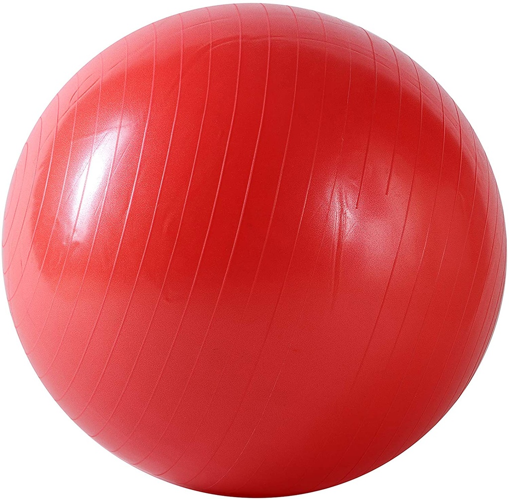 Pelota de Gimnasio anti explosion con bomba de aire 55cm Sunny Health &amp; Fitness