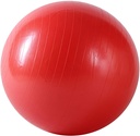 Pelota de Gimnasio anti explosion con bomba de aire 55cm Sunny Health &amp; Fitness