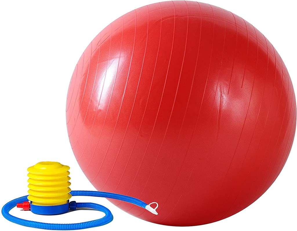 Pelota de Gimnasio anti explosion con bomba de aire 55cm Sunny Health & Fitness