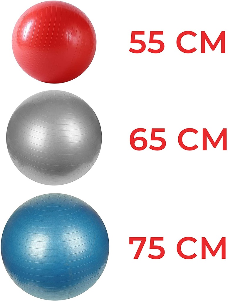 Pelota de Gimnasio anti explosion con bomba de aire 55cm Sunny Health & Fitness