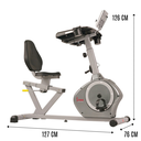 Sunny Health & Fitness Bicicleta Reclinada Convertible SF-RBD4703