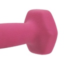 Mancuerna de Neopreno 2lb Sunny Health & Fitness SF-NO. 021-2-PAR