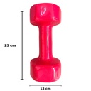 INFINITÉ MANCUERNAS DE VINIL / VINYL DUMBBELLS 6 KG (PAR) IF-V6
