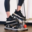 Sunny Health & Fitness Máquina de pasos para todo el cuerpo SF-S0978
