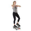Sunny Health & Fitness  Máquina escalonadora con Bandas de Resistencia SF-S0979