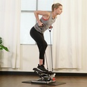 Sunny Health & Fitness  Máquina escalonadora con Bandas de Resistencia SF-S0979