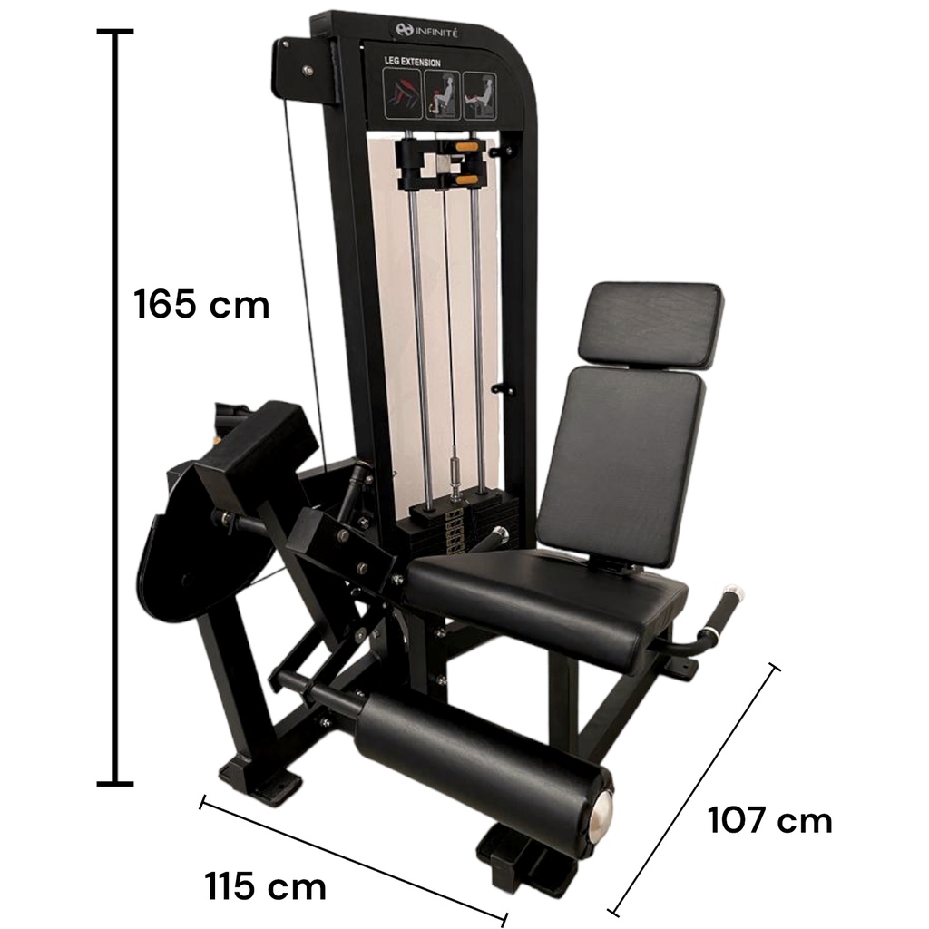 INFINITé Leg Extension IF-FM13