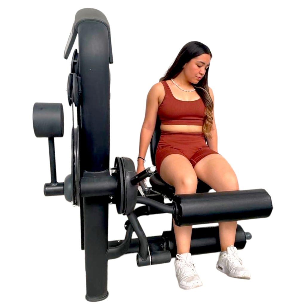 Infinité Seated Leg Curl/Flexion de Pierna/Femoral Sentado IF-AN24