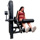 Infinité Seated Leg Curl/Flexion de Pierna/Femoral Sentado IF-AN24