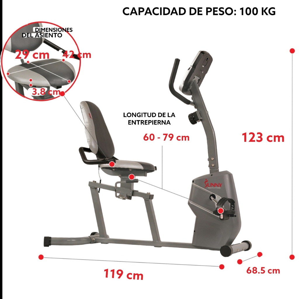 Sunny Health &amp; Fitness Bicicleta Magnética Recumbente SF-RB4806