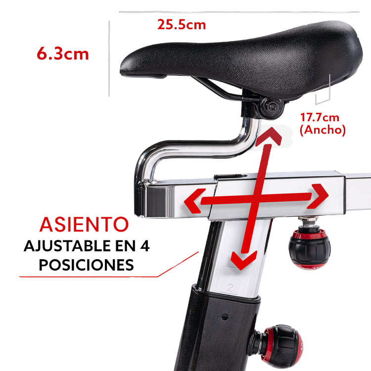Sunny Belt Drive Indoor Cycling Bike SF-B1002