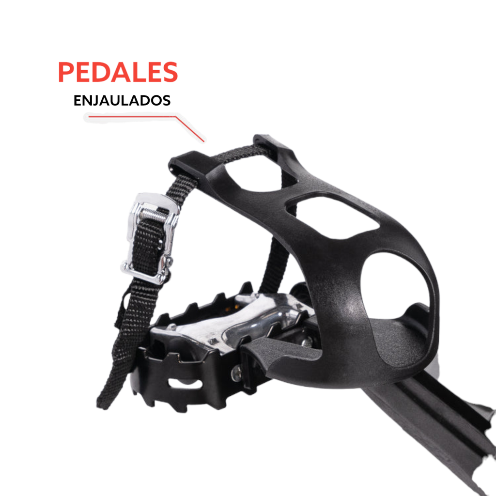 Sunny Belt Drive Indoor Cycling Bike SF-B1002