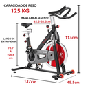 Sunny Belt Drive Indoor Cycling Bike SF-B1002