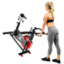 Sunny Belt Drive Indoor Cycling Bike SF-B1002