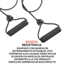 Maquina de Pasos Mini Escaladora Sunny Health & Fitness SF-NO.012-S