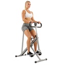 Ejercitador Vertical Row-N-Rider Marca Sunny Health & Fitness
