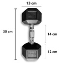 INFINITÉ MANCUERNA HEXAGONAL DE 7.5KG LINEA ECONOMICA IF-LEHK7.5