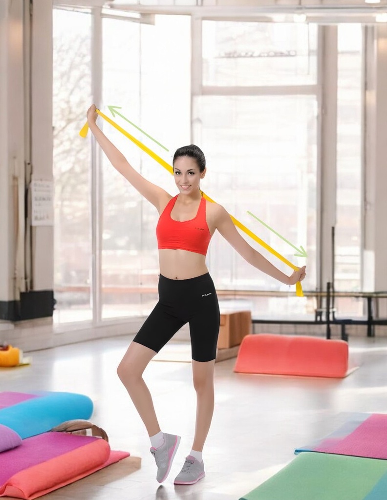 Bandas de Pilates Sunny Health & Fitness SF-NO.042