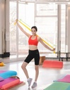 Bandas de Pilates Sunny Health & Fitness SF-NO.042