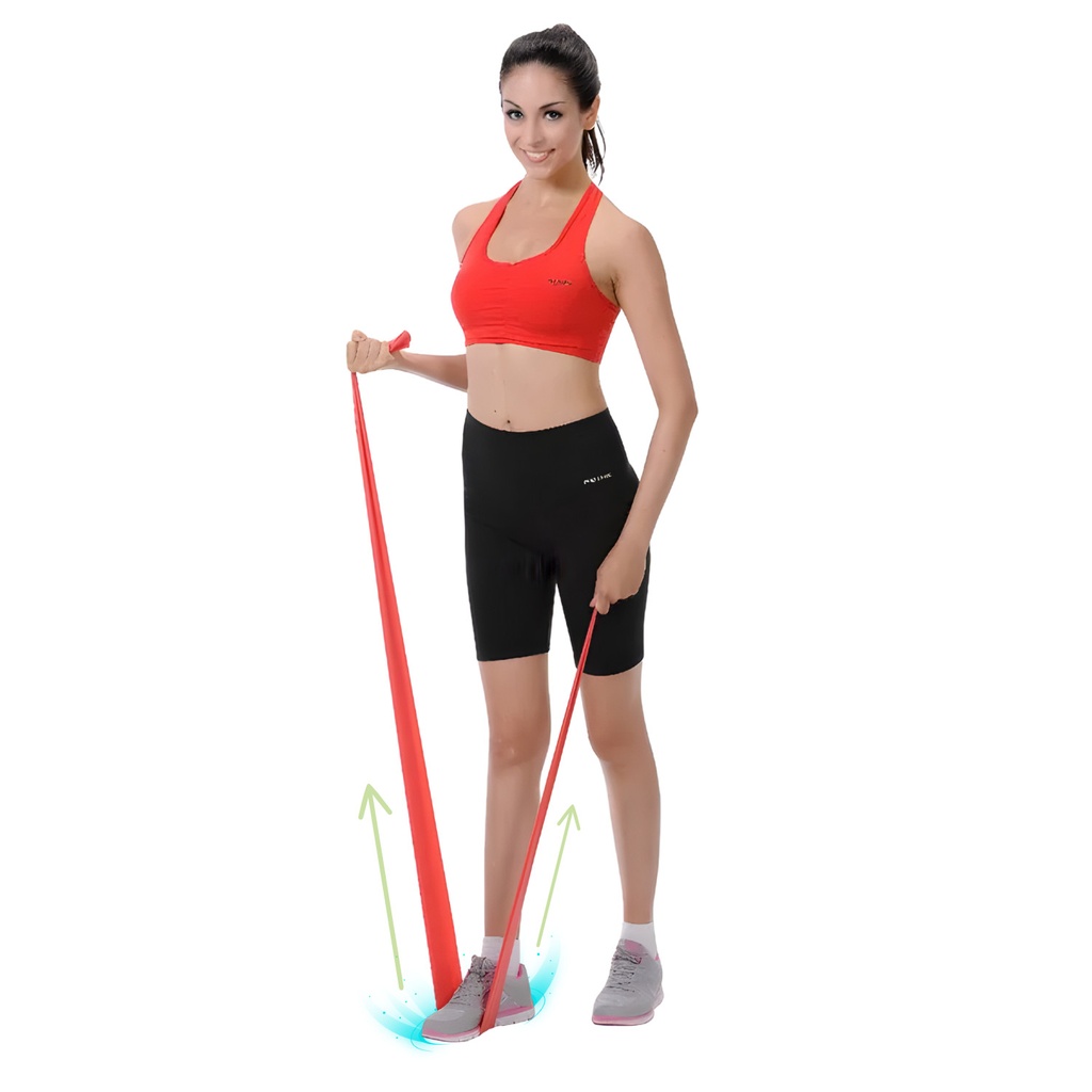 Bandas de Pilates Sunny Health & Fitness SF-NO.042
