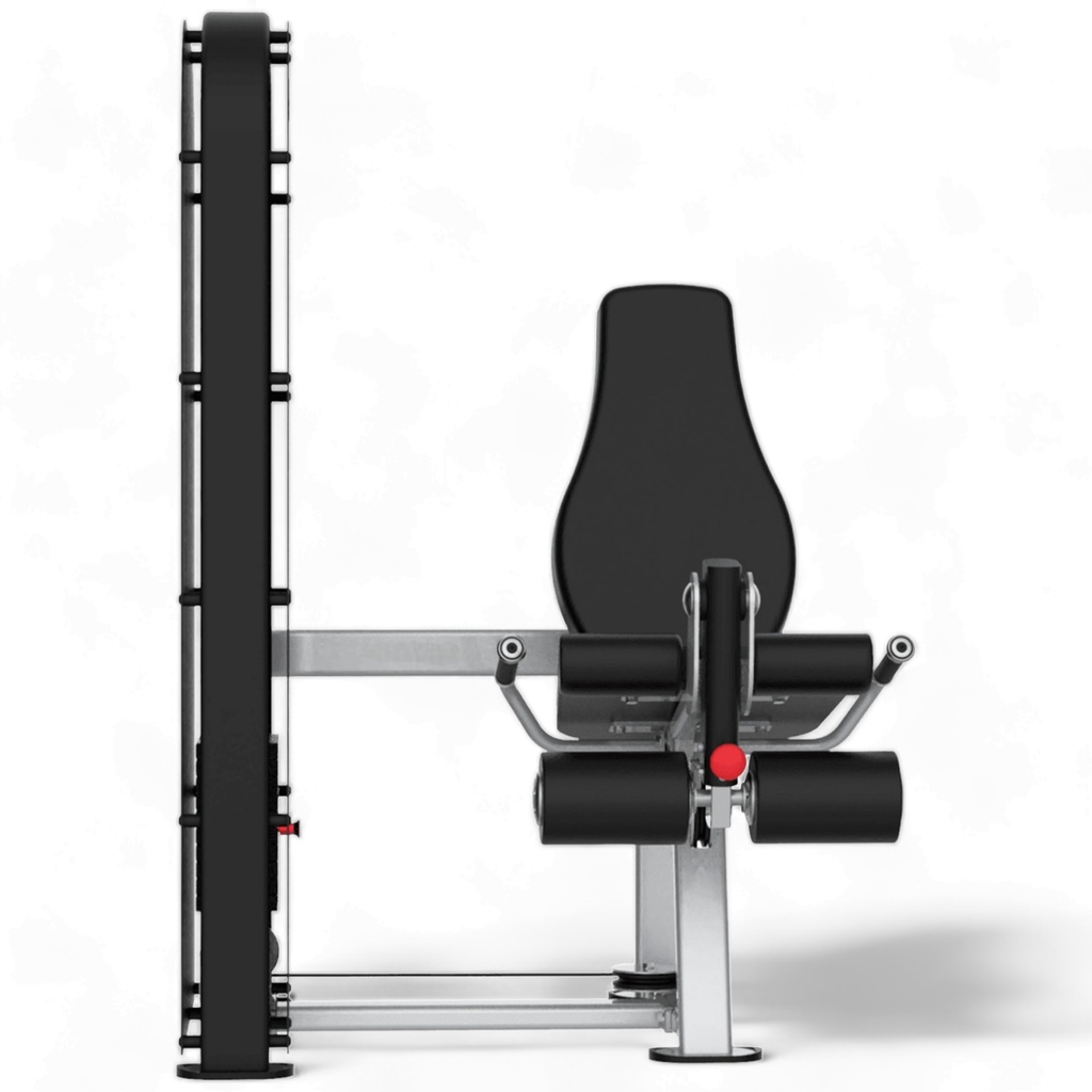 Infinité Extension de pierna/ Leg Extensions 71kg/95kg IF-C52