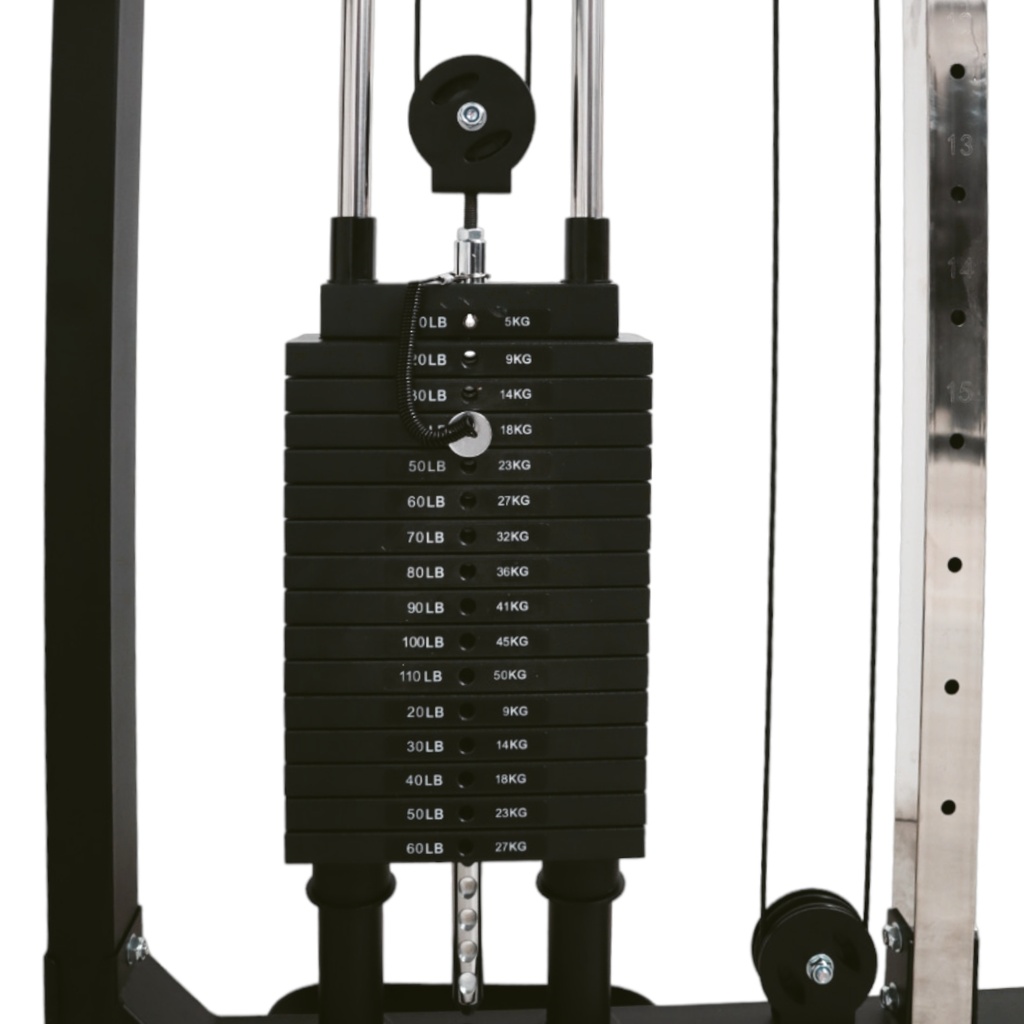 Infinite Polea Dual/Functional Trainer/FTS/Dual Pulley IF-DP