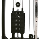 Infinite Polea Dual/Functional Trainer/FTS/Dual Pulley IF-DP