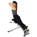 Sunny Banco de Hiper-extensiones o Espalda Baja/Silla Romana a 45° SF-BH6629