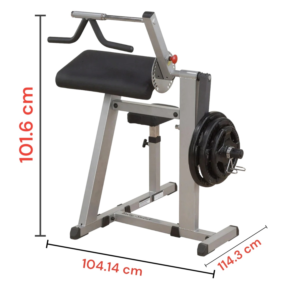 Body Solid Bíceps y Tríceps cargado de discos GCBT380