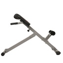 Sunny Banco de Hiper-extensiones o Espalda Baja/Silla Romana a 45° SF-BH6629