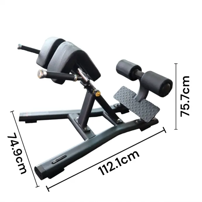 Infinité Banco de Hiper-extensiones o Espalda Baja/Silla Romana a 45° IF-FF45