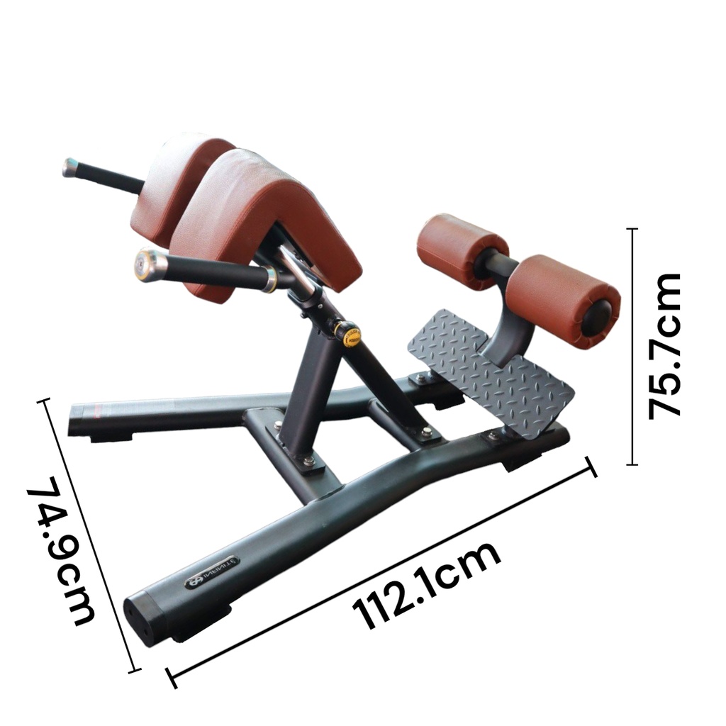 Infinité Banco de Hiper-extensiones o Espalda Baja/Silla Romana a 45° IF-FF45