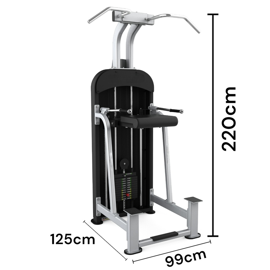 Infinité Strong Weight assisted Chin-Dip combo - 71 kg IF-C13