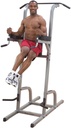 Body Solid Vertical Knee Raise Chin Dip BS-GVKR82